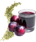 fennel-seed-extract-&-prune-juice-extract-supranail-ingredient