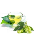 organic-green-tea-&-hops-supranail-ingredient